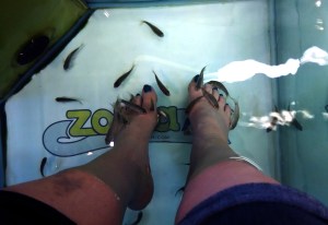 FIsh pedicure 2